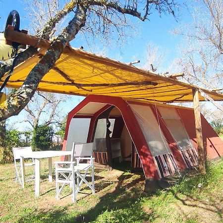 Camping Terreno-Ro-Bi-Li Hotel คูโตรฟิอาโน ภายนอก รูปภาพ