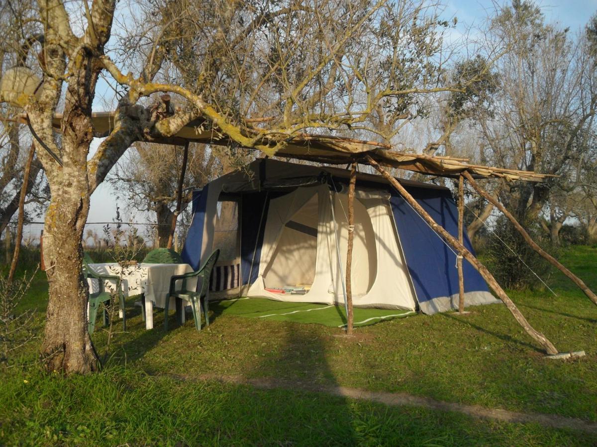 Camping Terreno-Ro-Bi-Li Hotel คูโตรฟิอาโน ภายนอก รูปภาพ